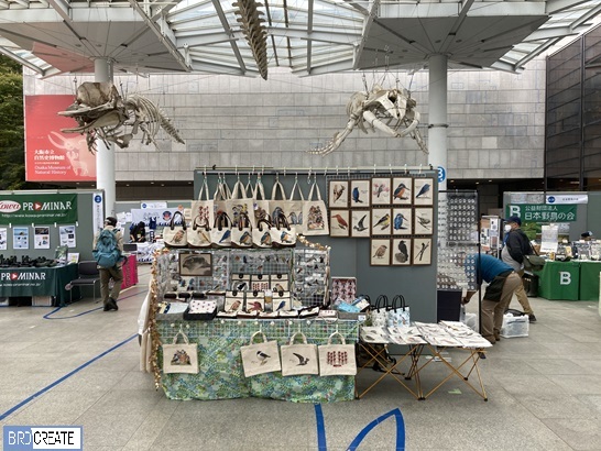 大阪自然史フェスティバル2024