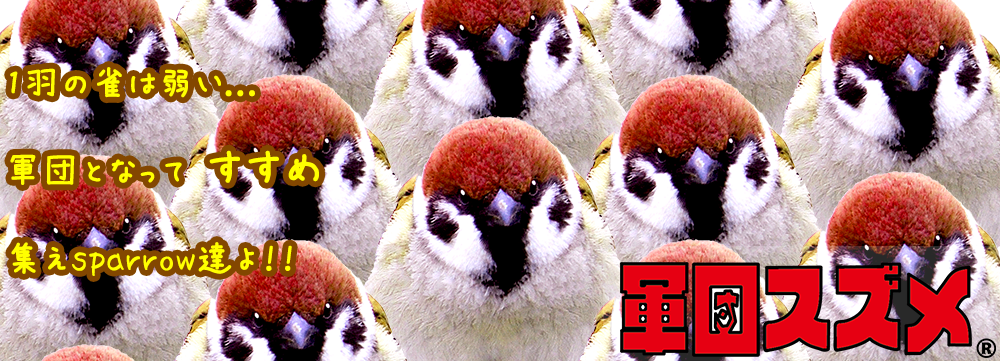 軍団スズメ画像